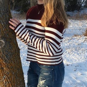 Cropped Turtle Neck